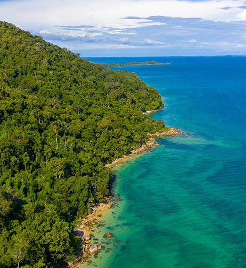 Lémuriens de Lokobe