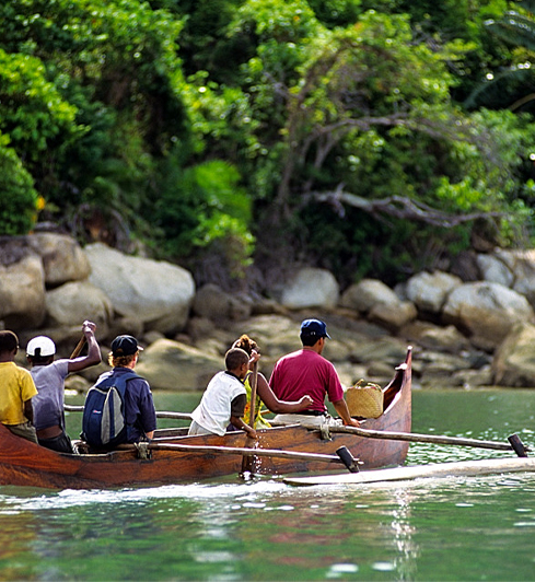 Caméléon Panthère