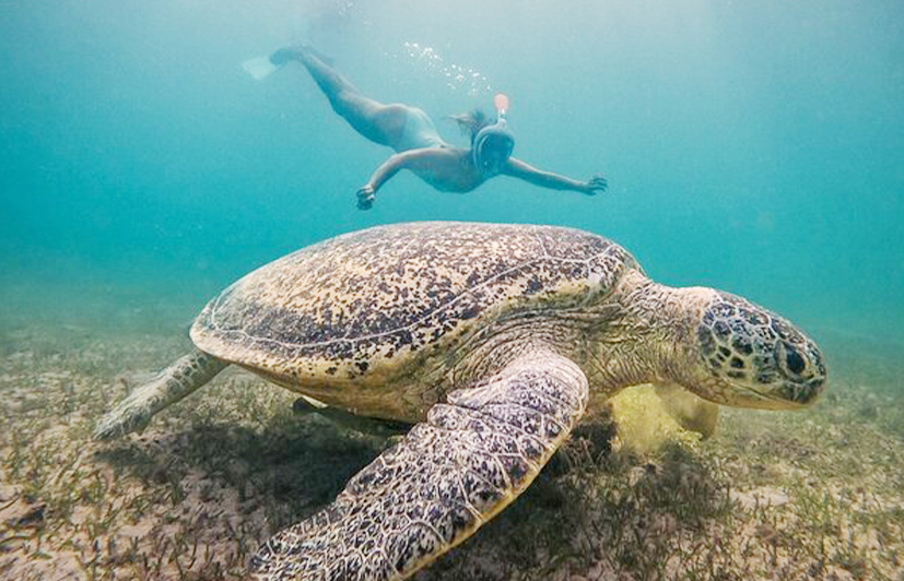 Sakatia Lodge diving